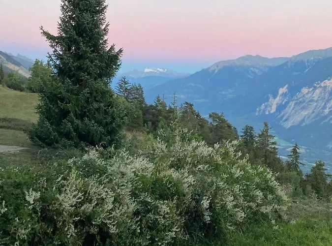 Eglantine With Stunning Views Of The Valais Peaks Apartment *