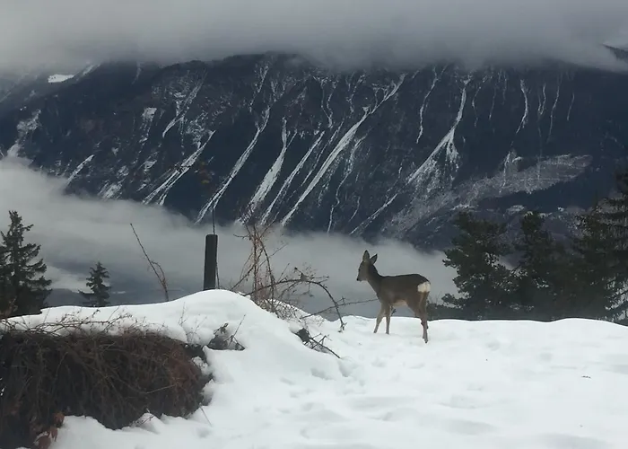 Eglantine With Stunning Views Of The Valais Peaks Apartment